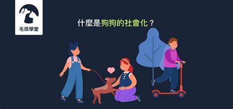 狗狗社會化|什麼是狗狗的社會化？狗狗社會化的定義及如何協助狗。